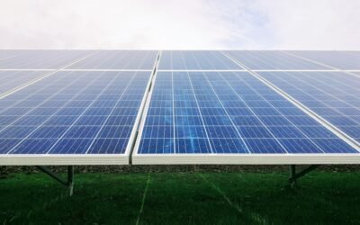 Empowering Your Home with Government Energy Schemes: Tips and Tricks for Success