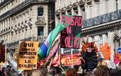 What is a Collective Energy Switch Scheme? UK Guide 2024